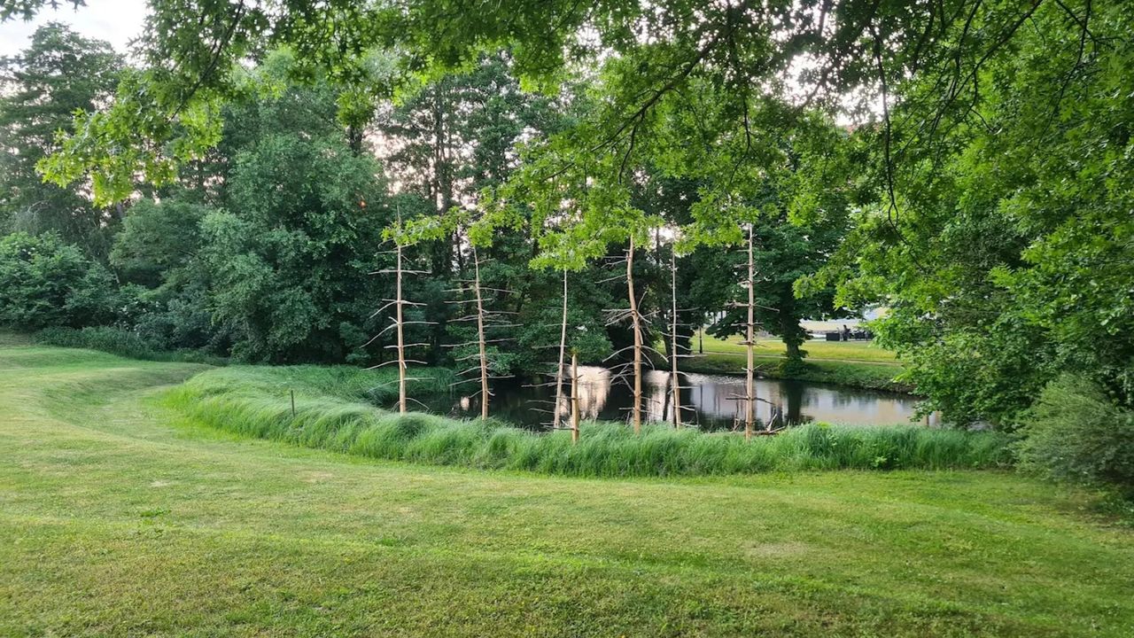 AreaSummer5KM AreaSummer5KM